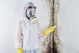 Best Water Damage & Mold Remediation in Woodsi East, DE